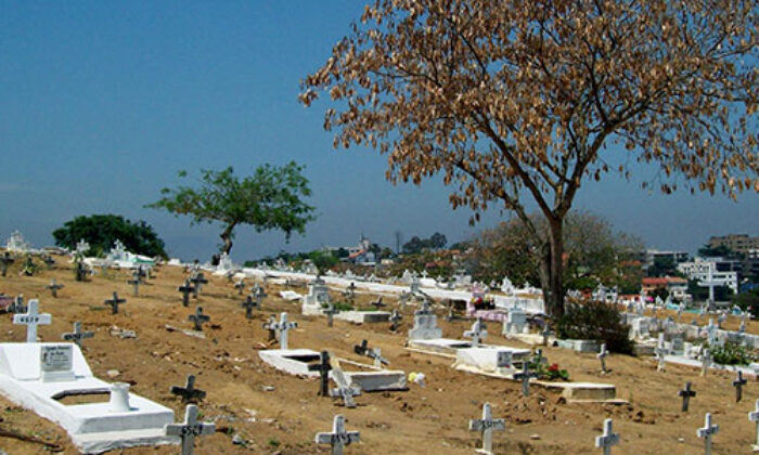 Floricultura Cemitério da Ilha do Governador Cacuia